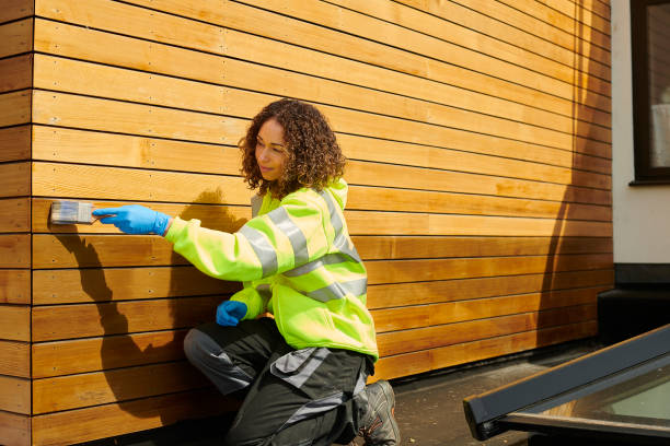 Best Custom Trim and Detailing for Siding  in Dolgeville, NY